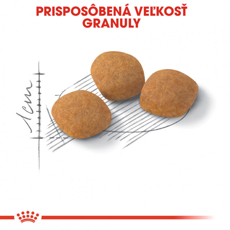 protein-exigent-15